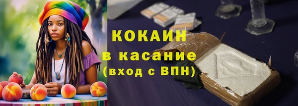 гидра Белокуриха