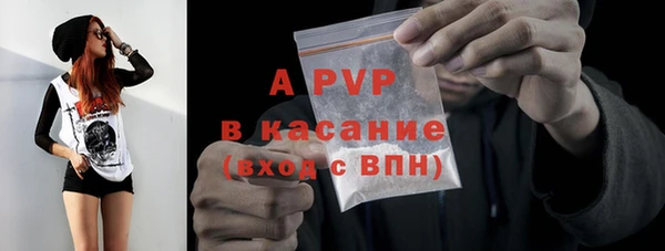 гидра Белокуриха