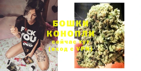 гидра Белокуриха