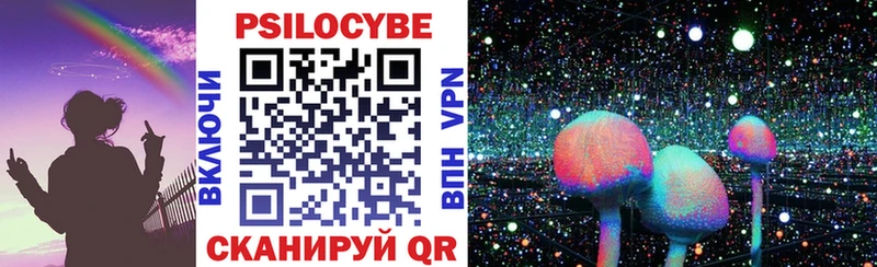 Купить закладки  Железногорск-Илимский  Псилоцибиновые грибы прущие грибы 